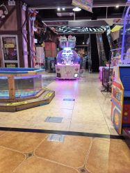 -卡通尼·Safari非洲探索乐园·生日会(金桥国际商业广场店)