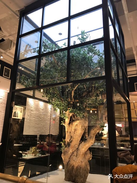 大树餐厅(柏威年购物广场店)图片 - 第1549张