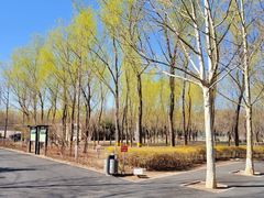 -东升八家郊野公园