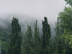 -麦积山温泉