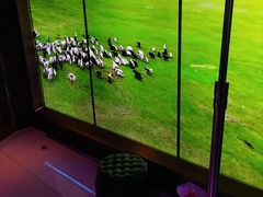 -温莎KTV(国贸店)