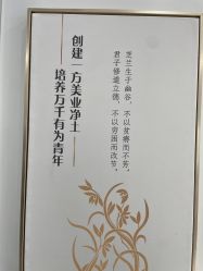 -镁连社·美联社