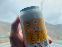 -德禄酸奶(莫家街店)