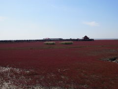 -红海滩国家风景廊道