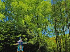 -上海共青森林公园