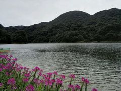 -广州市石门国家森林公园