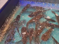 -山河屯铁锅炖鲜鹅·东北菜(开发区一店)