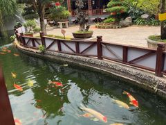 -香麒园·过桥米线·南湖雅宴