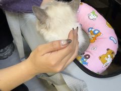 -半岛宠物医院24小时(西派城店)