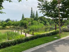 -长田漾湿地公园