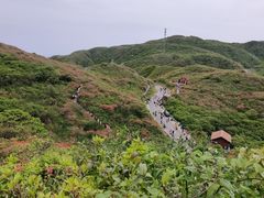 -大围山国家森林公园