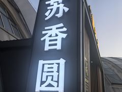 -丁老爷子苏香圆