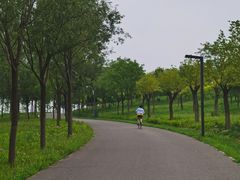 -东郊湿地公园