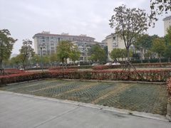 -秀沿路地铁站停车场