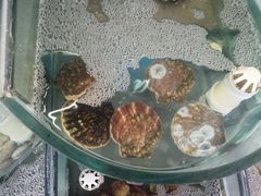 -烁佳海鲜大馅饺子