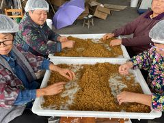 -苏州市吴中区光福窑上花果蜜饯厂