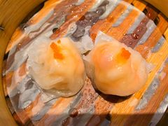 -点都德·毕德寮