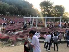 -牛岗山公园
