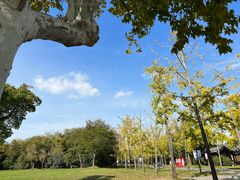 -东园小馆·早茶·淮扬小炒(宋夹城店)