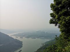 -铁山坪森林公园