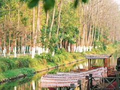 -合肥滨湖国家森林公园