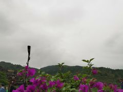 -老北京芝麻香酥面包(建新东路店)