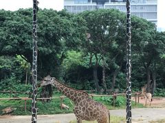 -深圳野生动物园