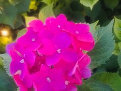 -三点半糖水铺(西溪银泰店)