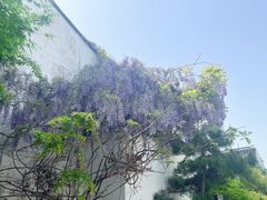 -黎里古镇
