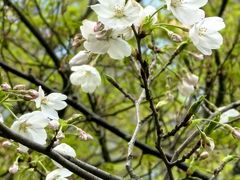 -龙湖冠寓(上海闵行星悦荟店)