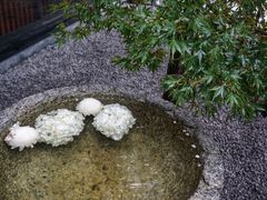 -鯛匠 HANANA