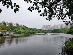 -重庆彩云湖湿地公园
