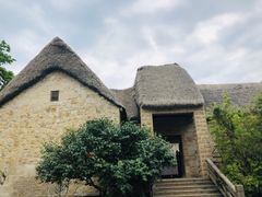 -海草馆自助餐厅(悦海店)