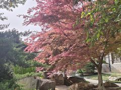 -中国唐苑
