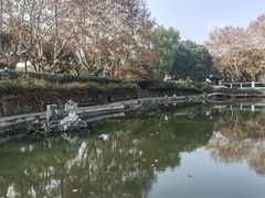 -范蠡湖公园