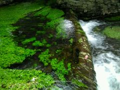 -水磨沟公园