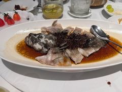 -南麓·浙里(外滩店)
