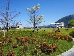 -别府杉乃井酒店