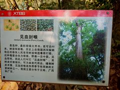 -中国科学院西双版纳热带植物园