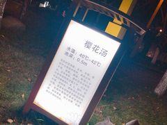 -洪湖悦兮半岛国际温泉度假村