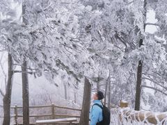-洛阳白云山景区