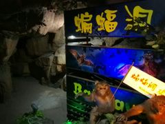 -游龙石文化科普馆