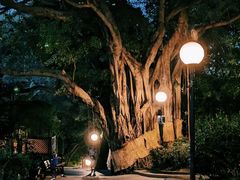 -九龙公园