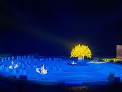 -鼎盛王朝康熙大典实景演出