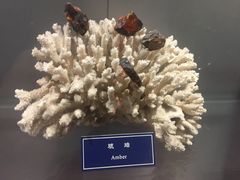 -中国地质大学逸夫博物馆