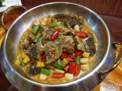 野生中华鳖-品湘楼(方庄店)