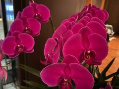 -莫干山郡安里度假酒店-桃尖中餐厅