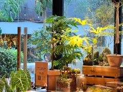 -自由生长植物工作室(深港花卉中心店)