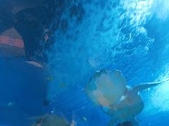 -大明湖海底世界