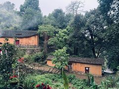 -杨家堂村